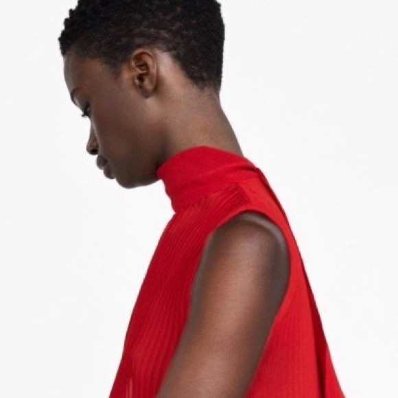 NWOT Zara Sheer Pleated Blouse with Tie Closure - Picture 10 of 11